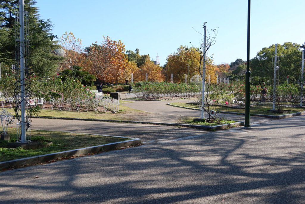 鶴舞公園の西洋式の庭園１