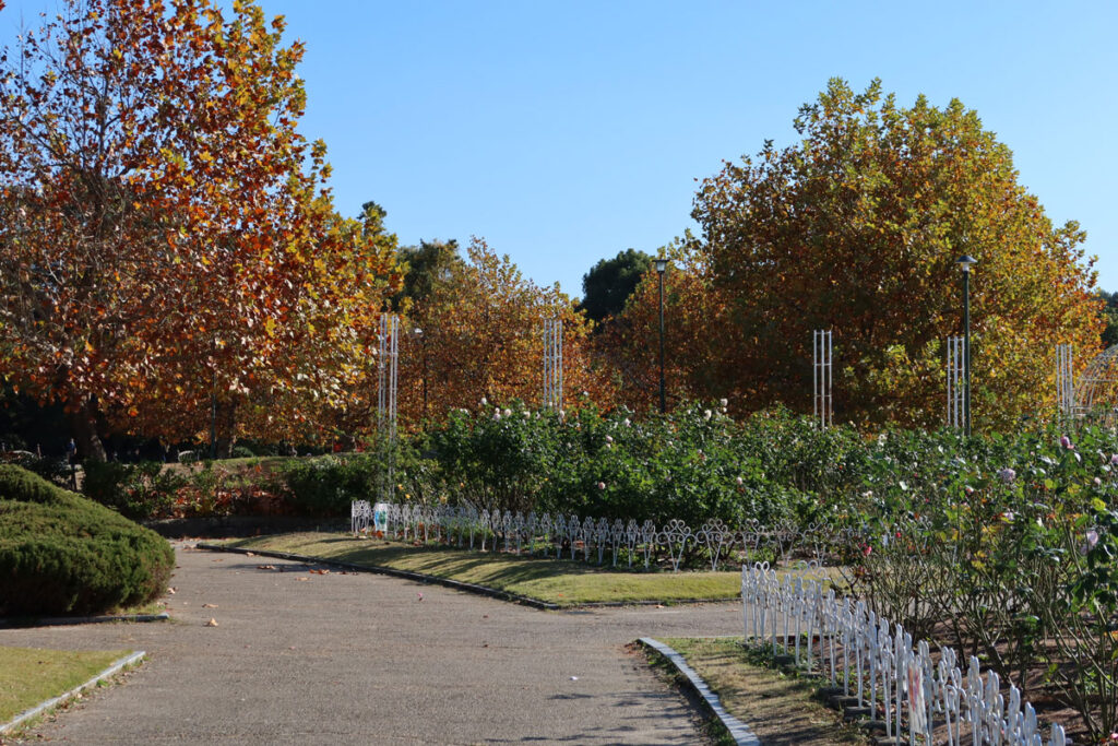 鶴舞公園の西洋式の庭園２