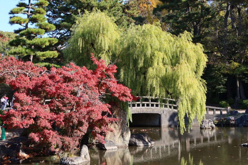 鶴舞公園の日本庭園